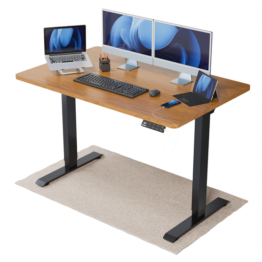Intellidesk Eco Dual Height Adjustable Standing Desk