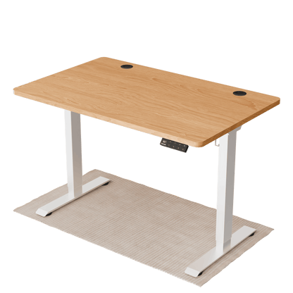 Intellidesk Eco Dual Height Adjustable Standing Desk
