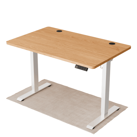 Intellidesk Eco Dual Height Adjustable Standing Desk