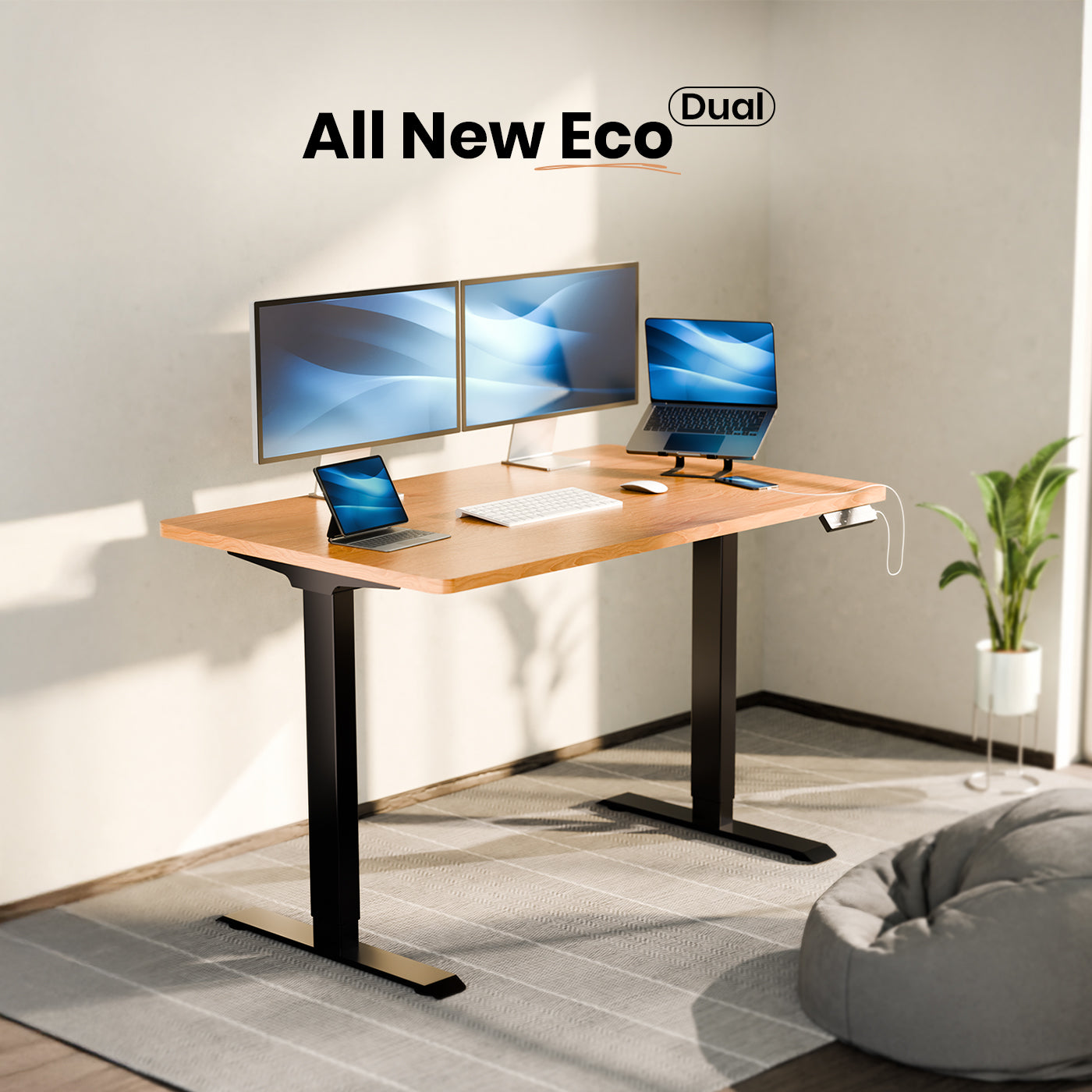 Intellidesk Eco Dual