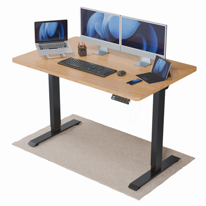 Intellidesk Eco Dual