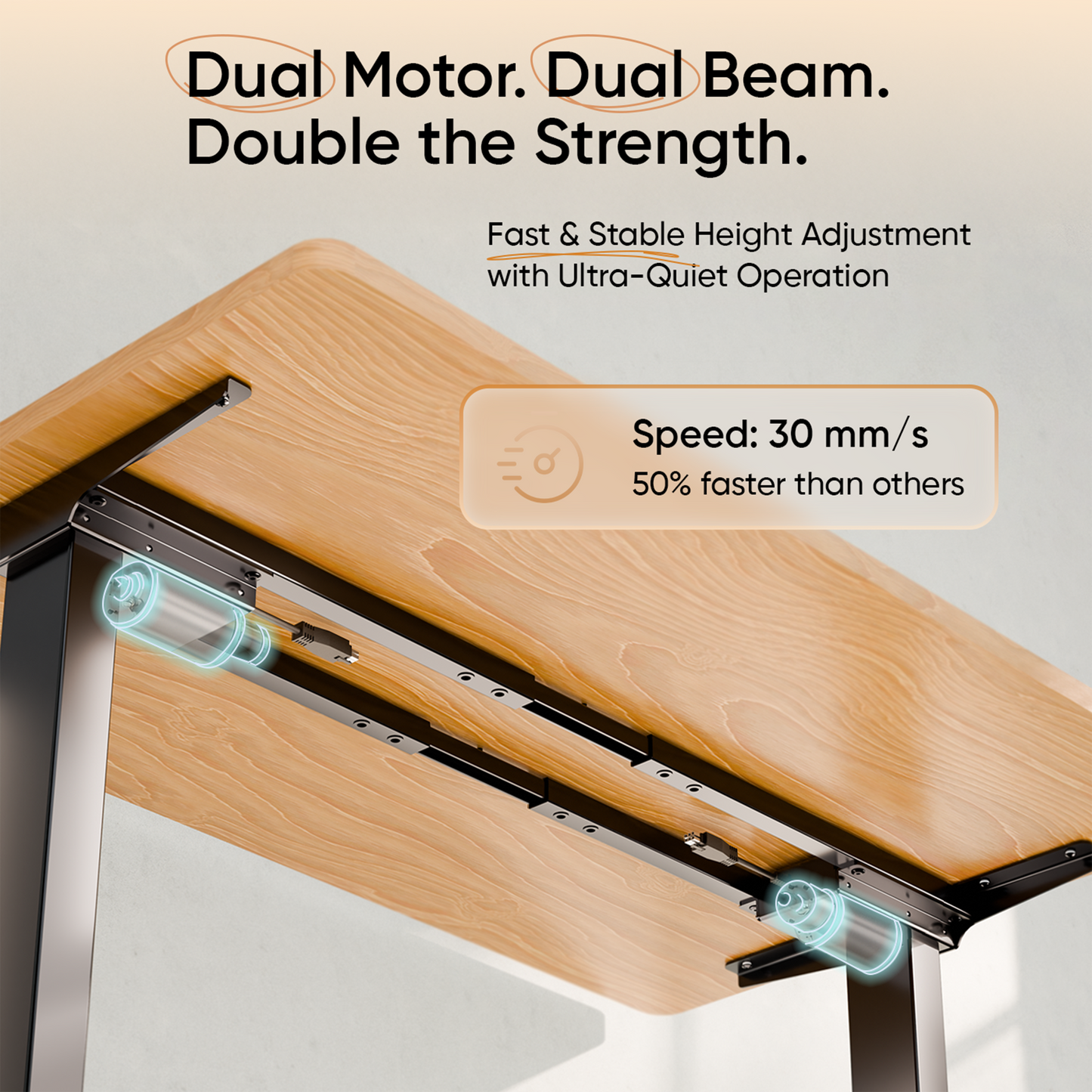 Intellidesk Eco Dual