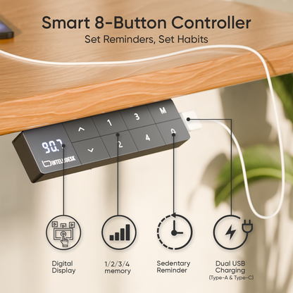 Intellidesk Eco Dual