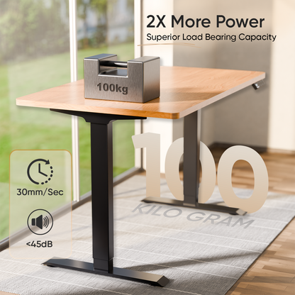 Intellidesk Eco Dual
