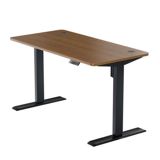 Intellidesk Eco