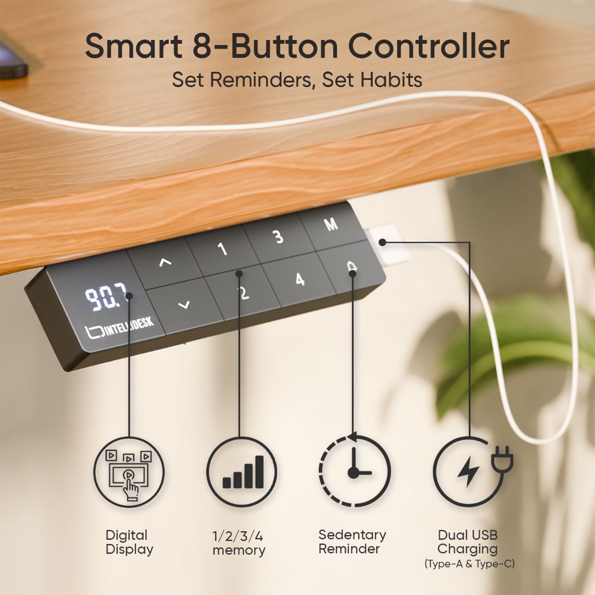Intellidesk Eco Dual Height Adjustable Standing Desk