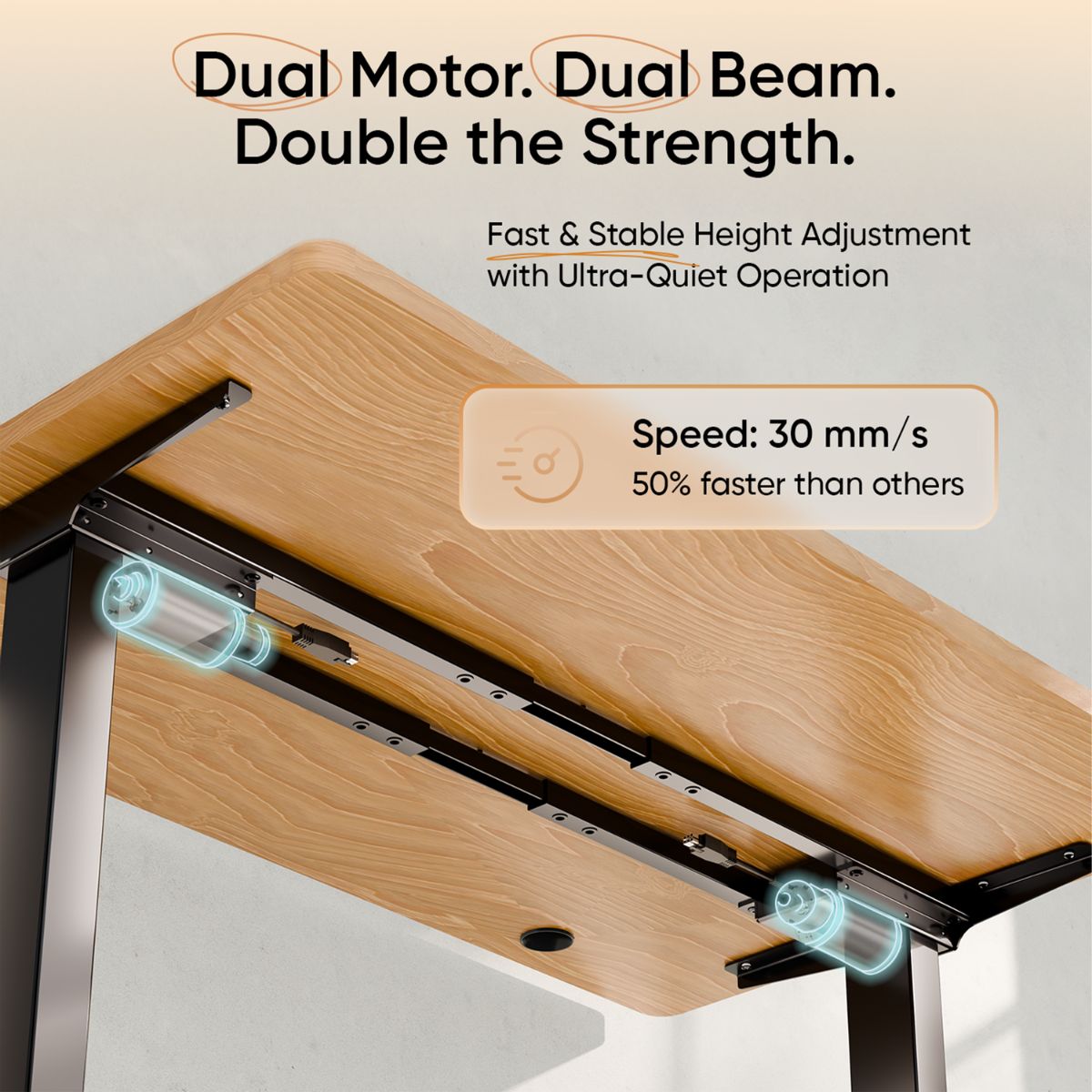 Intellidesk Eco Dual Height Adjustable Standing Desk